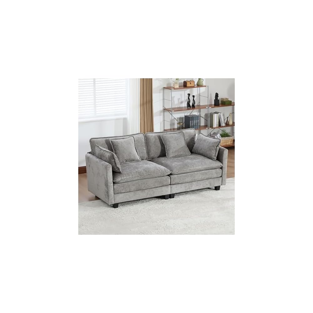 Modular Sectional 2 Seater Cloud Sofa Couch for Living Room,Loveseat Couch with Deep Seat,Modern Chenille 2 Seat Sofas,Fluffy Small Couches for Bedroom,Small Spaces (Grey, 2 Seater)