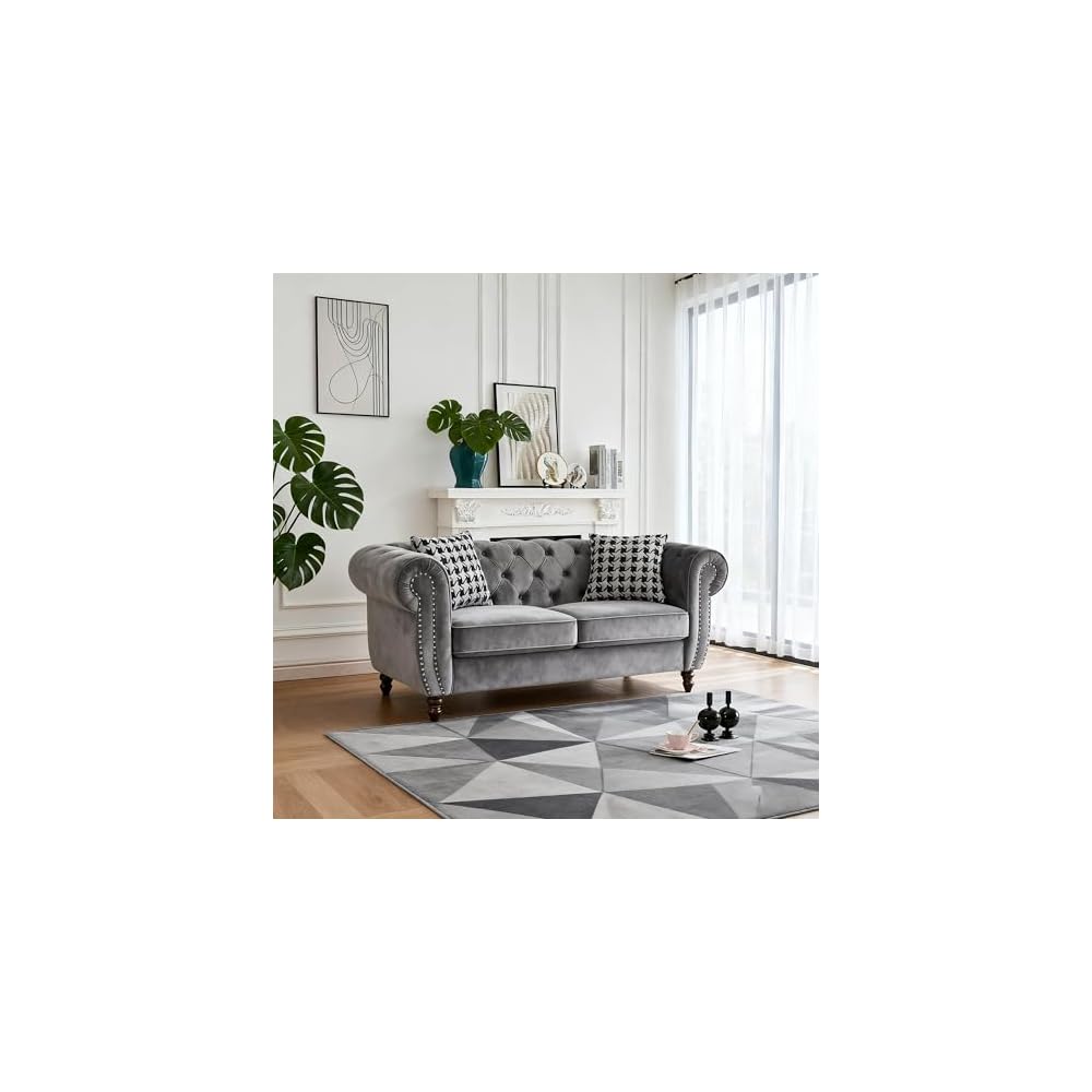 Loveseat, Velvet Fabric Two- Seater Couch, Buckle Design and Rivet Decoration, Deep Seated Double Sofa, Suitable for Living Room, Bedroom, Apartment, Hotel, etc (Gray) (Gray)