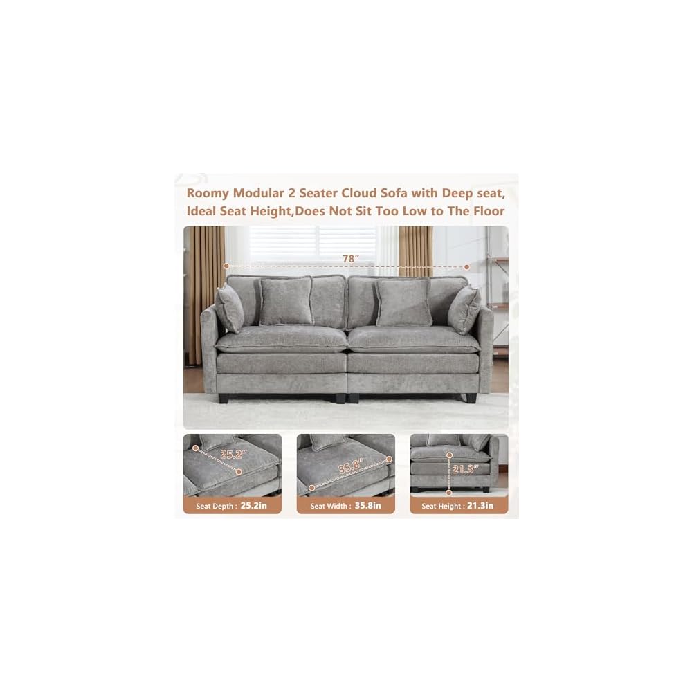 Modular Sectional 2 Seater Cloud Sofa Couch for Living Room,Loveseat Couch with Deep Seat,Modern Chenille 2 Seat Sofas,Fluffy Small Couches for Bedroom,Small Spaces (Grey, 2 Seater)