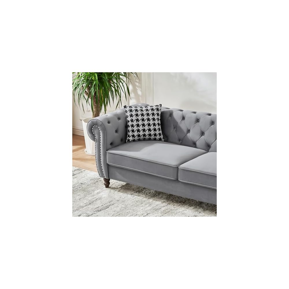 Loveseat, Velvet Fabric Two- Seater Couch, Buckle Design and Rivet Decoration, Deep Seated Double Sofa, Suitable for Living Room, Bedroom, Apartment, Hotel, etc (Gray) (Gray)