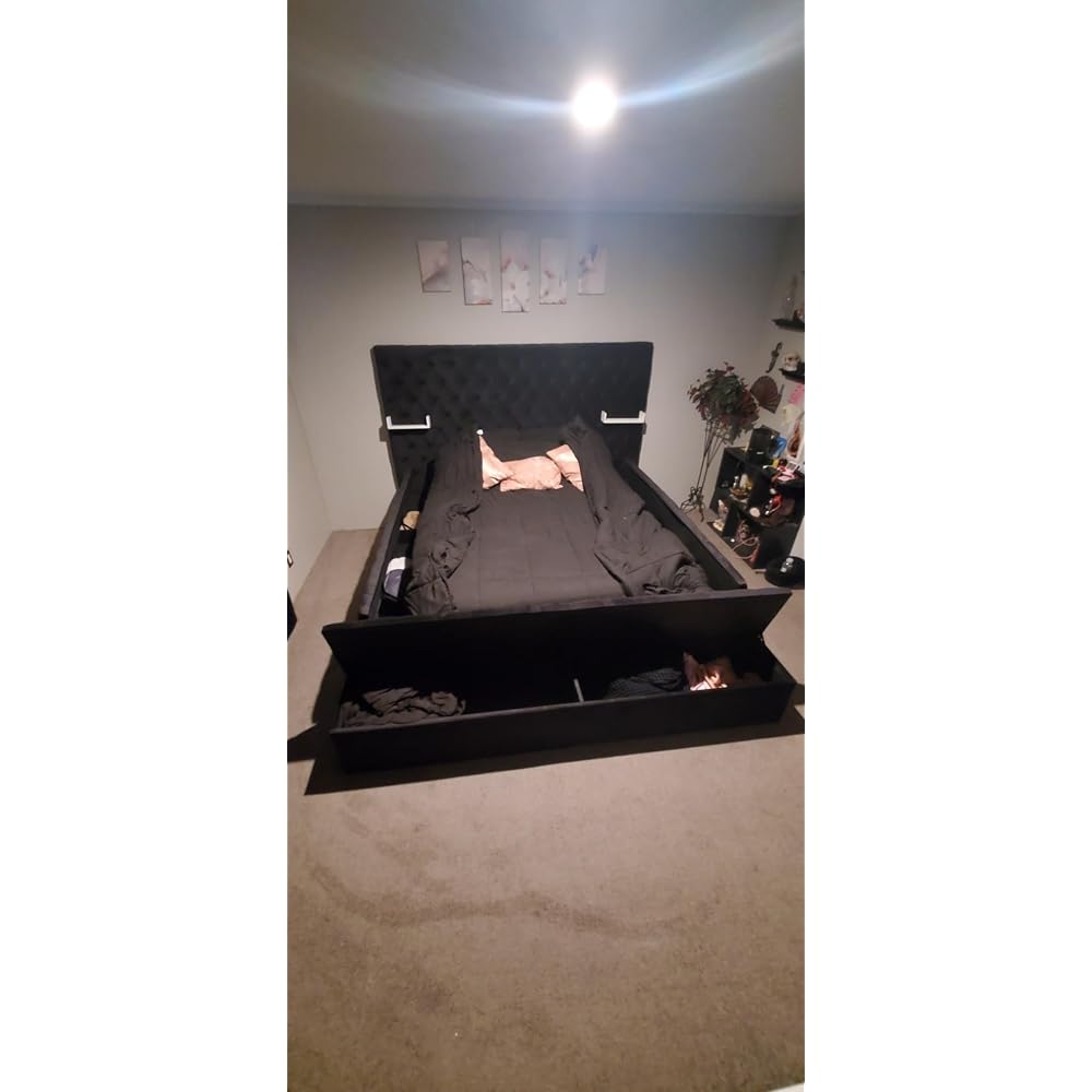 Cosmopolitan Velvet Upholstered Platform Queen Bed in Black