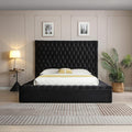 Cosmopolitan Velvet Upholstered Platform Queen Bed in Black
